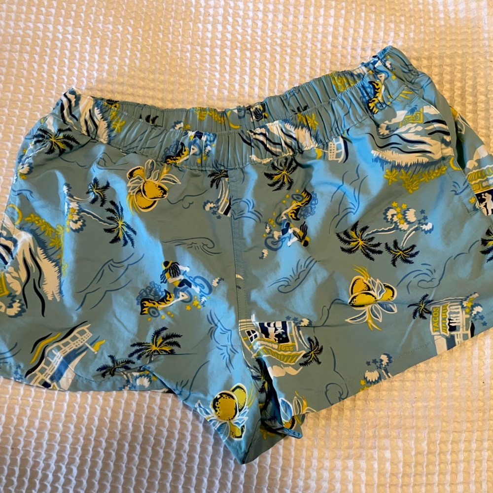 Blue Barely Baggies Shorts from Patagonia
